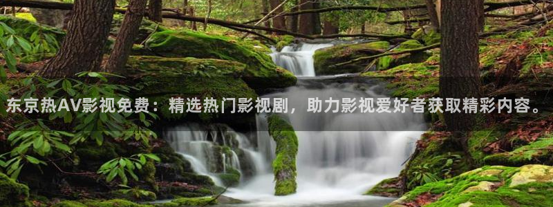 久久久一区二区三区视频不卡